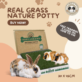 ✅[SG] 6 MONTHS (12 DELIVERIES) REAL GRASS NATURE POTTY ★ FREE Training e-Guide Worth $7 ★ SG Stock ★ Kopi Lobang ★ Perfect for Gift