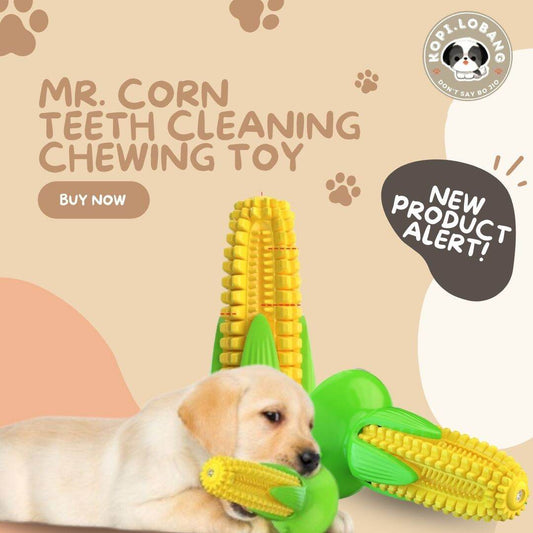 ✅[SG] MR. CORN TEETH CLEANING CHEWING TOY ★ Dental Hygiene Training ★ FREE Enrichment Tips & Ideas e-Guide Worth $7 ★ Enrichment ★ SG Stock ★ Kopi Lobang