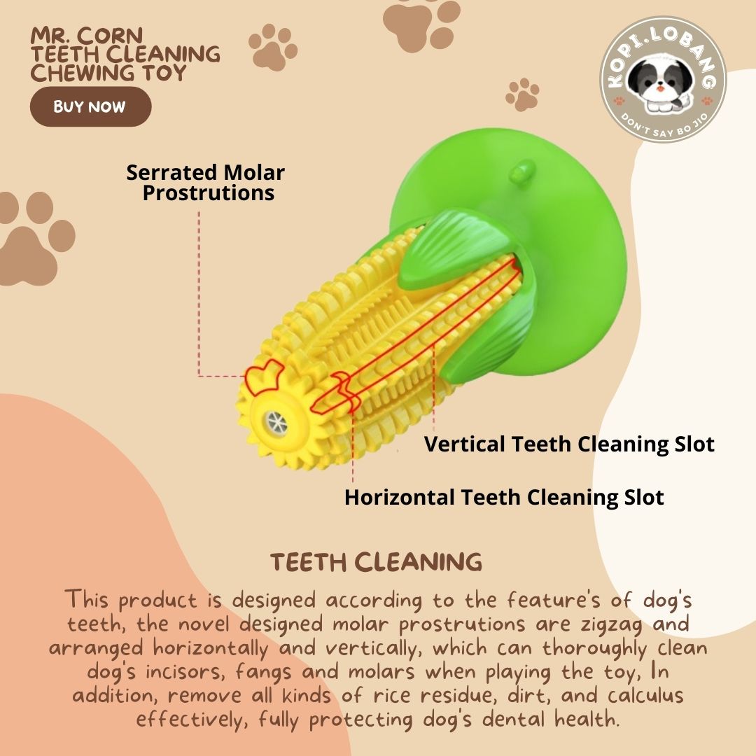 ✅[SG] MR. CORN TEETH CLEANING CHEWING TOY ★ Dental Hygiene Training ★ FREE Enrichment Tips & Ideas e-Guide Worth $7 ★ Enrichment ★ SG Stock ★ Kopi Lobang