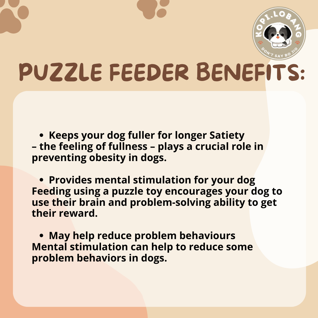 ✅[SG] MR PUZZLE & BRAIN TRAINING GAMES FEEDER ★ FREE Enrichment Tips & Ideas e-Guide Worth $7★ SG Stock ★ Kopi Lobang ★ For Dog Cat ★ Perfect for Gift