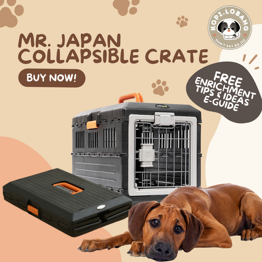 ✅[SG] MR. JAPAN COLLAPSIBLE CRATE FOR DOG AND CAT★ Crate Training ★ FREE Enrichment Tips & Ideas e-Guide Worth $7 ★ Enrichment ★ SG Stock ★ Kopi Lobang