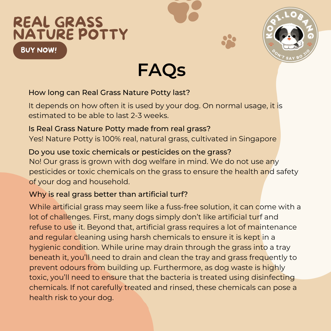 ✅[SG] REAL GRASS NATURE POTTY ★ FREE Training e-Guide  Worth $7 ★ SG Stock ★ Kopi Lobang ★ The First Pet Potty Real Grass in Singapore ★ Perfect for Gift