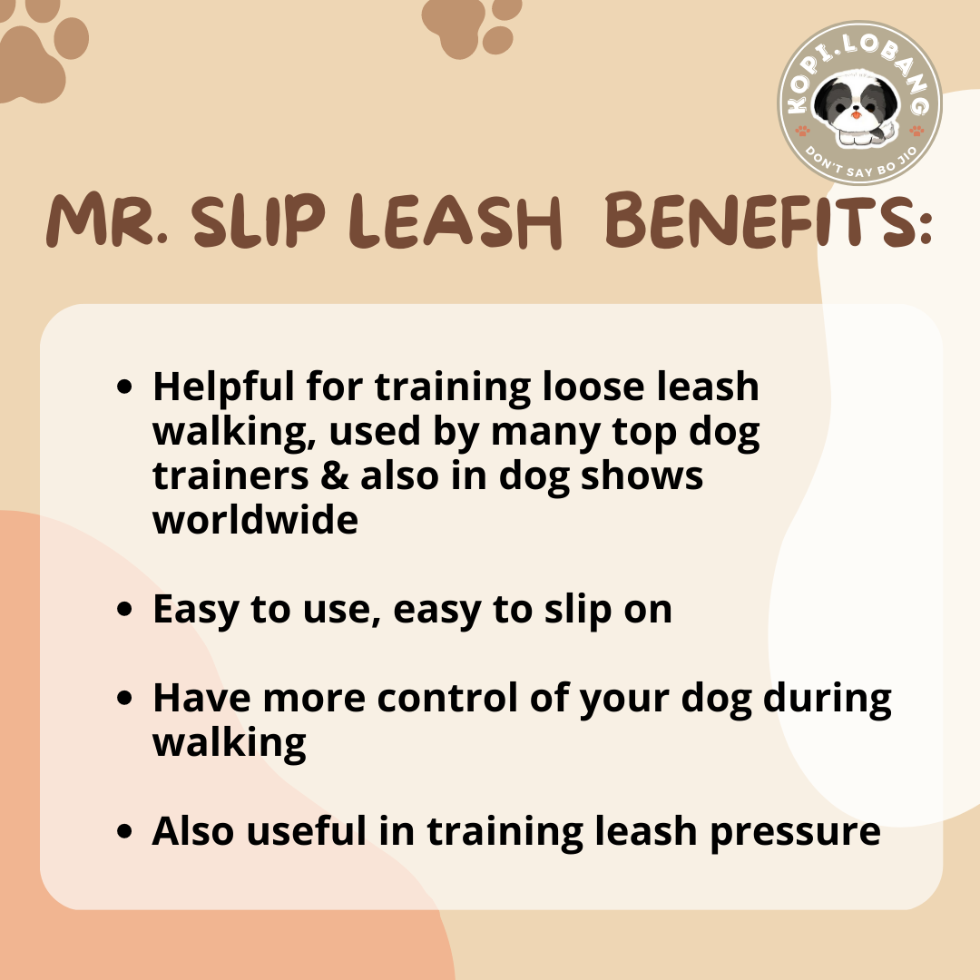 ✅[SG] MR. SLIP LEASH NO-PULL 5 Feet ★ Loose Leash Walking & Training ★ FREE Loose Leash Walking e-Guide Worth $7 ★ SG Stock ★ Kopi Lobang