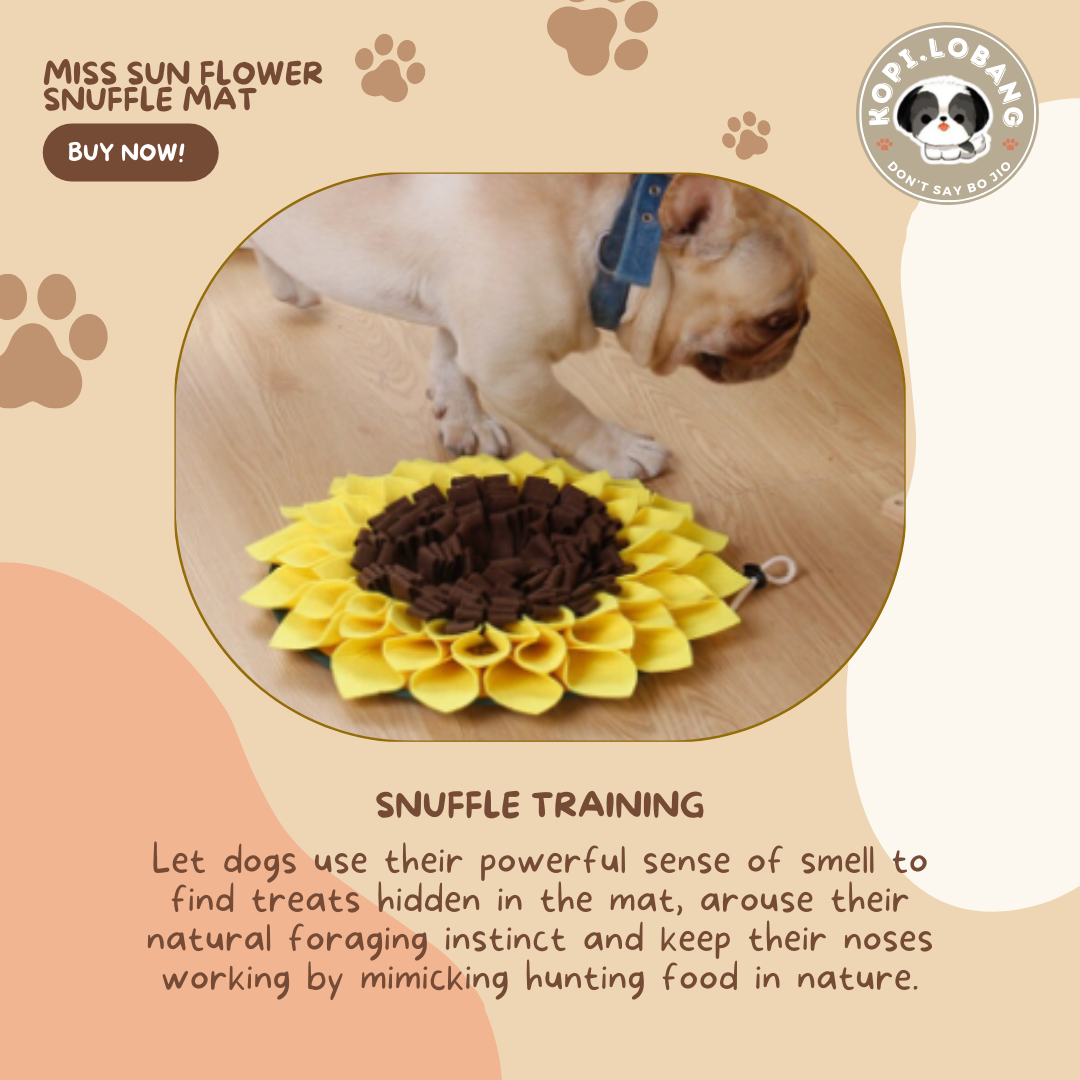 ✅[SG] MISS SUNFLOWER SNUFFLE MAT ★ Nosework Training ★ FREE Enrichment Tips & Ideas e-Guide Worth $7 ★ Pet Enrichment ★ SG Stock ★ Kopi Lobang