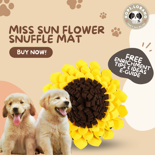 ✅[SG] MISS SUNFLOWER SNUFFLE MAT ★ Nosework Training ★ FREE Enrichment Tips & Ideas e-Guide Worth $7 ★ Pet Enrichment ★ SG Stock ★ Kopi Lobang