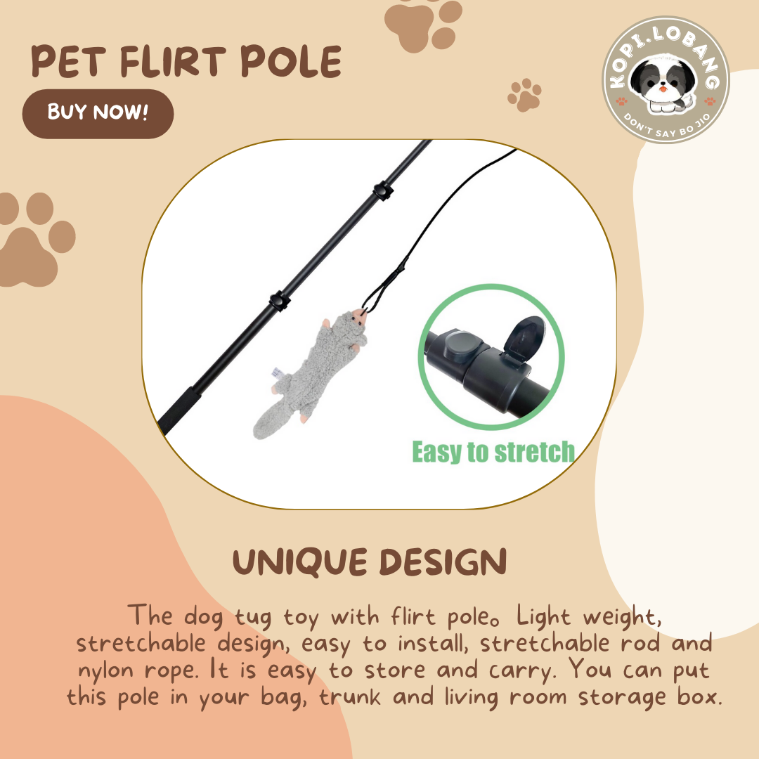 ✅[SG] DOG FLIRT POLE ★ Agility Training ★ FREE Enrichment Toy Tips and Ideas e-Guide Worth $7 ★ SG Stock ★ Perfect for Gift