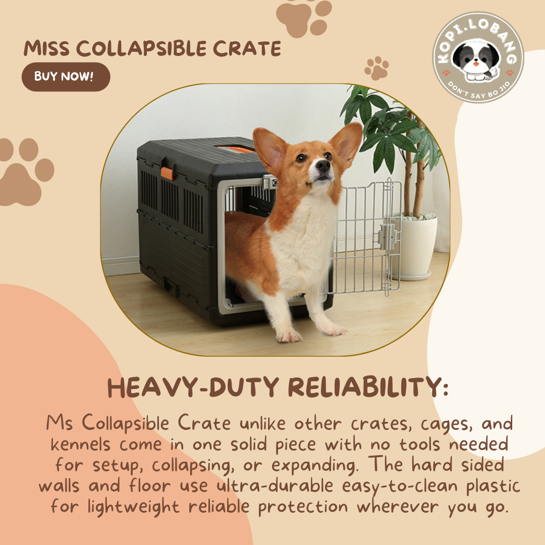 ✅[SG] MR. JAPAN COLLAPSIBLE CRATE FOR DOG AND CAT★ Crate Training ★ FREE Enrichment Tips & Ideas e-Guide Worth $7 ★ Enrichment ★ SG Stock ★ Kopi Lobang