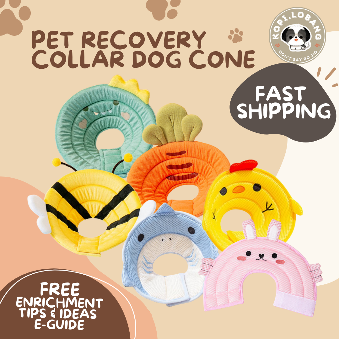 ✅[SG] [FAST SHIPPING] PET CONE COLLAR RECOVERY For Dog Cat ★ FREE Enrichment Tips & Ideas e-Guide  Worth $7  ★ SG Stock ★ Kopi.Lobang