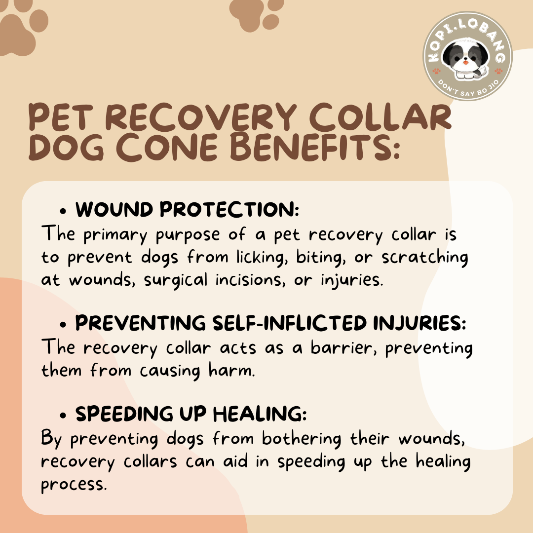 ✅[SG] [FAST SHIPPING] PET CONE COLLAR RECOVERY For Dog Cat ★ FREE Enrichment Tips & Ideas e-Guide  Worth $7  ★ SG Stock ★ Kopi.Lobang