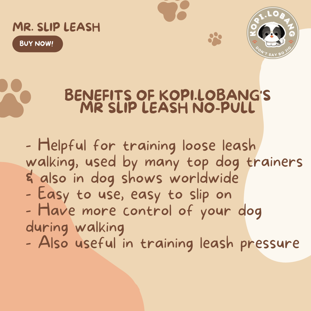 ✅[SG] MR. SLIP LEASH NO-PULL 5 Feet ★ Loose Leash Walking & Training ★ FREE Loose Leash Walking e-Guide Worth $7 ★ SG Stock ★ Kopi Lobang