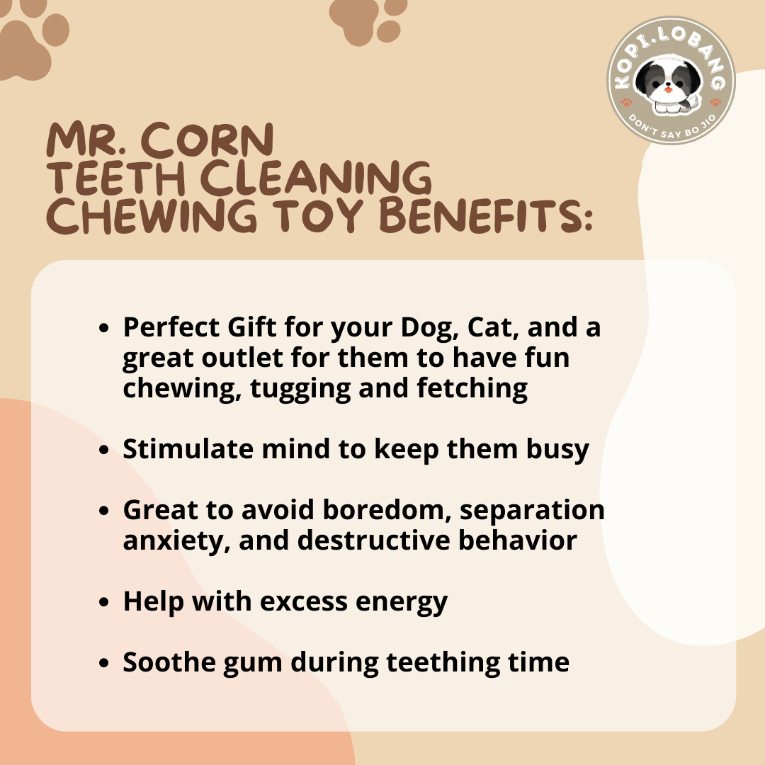 ✅[SG] MR. CORN TEETH CLEANING CHEWING TOY ★ Dental Hygiene Training ★ FREE Enrichment Tips & Ideas e-Guide Worth $7 ★ Enrichment ★ SG Stock ★ Kopi Lobang