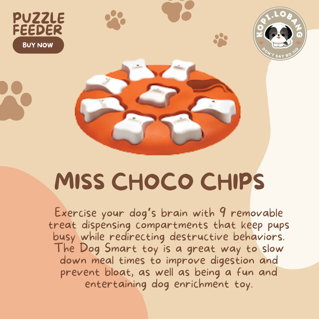 ✅[SG] MR PUZZLE & BRAIN TRAINING GAMES FEEDER ★ FREE Enrichment Tips & Ideas e-Guide Worth $7★ SG Stock ★ Kopi Lobang ★ For Dog Cat ★ Perfect for Gift