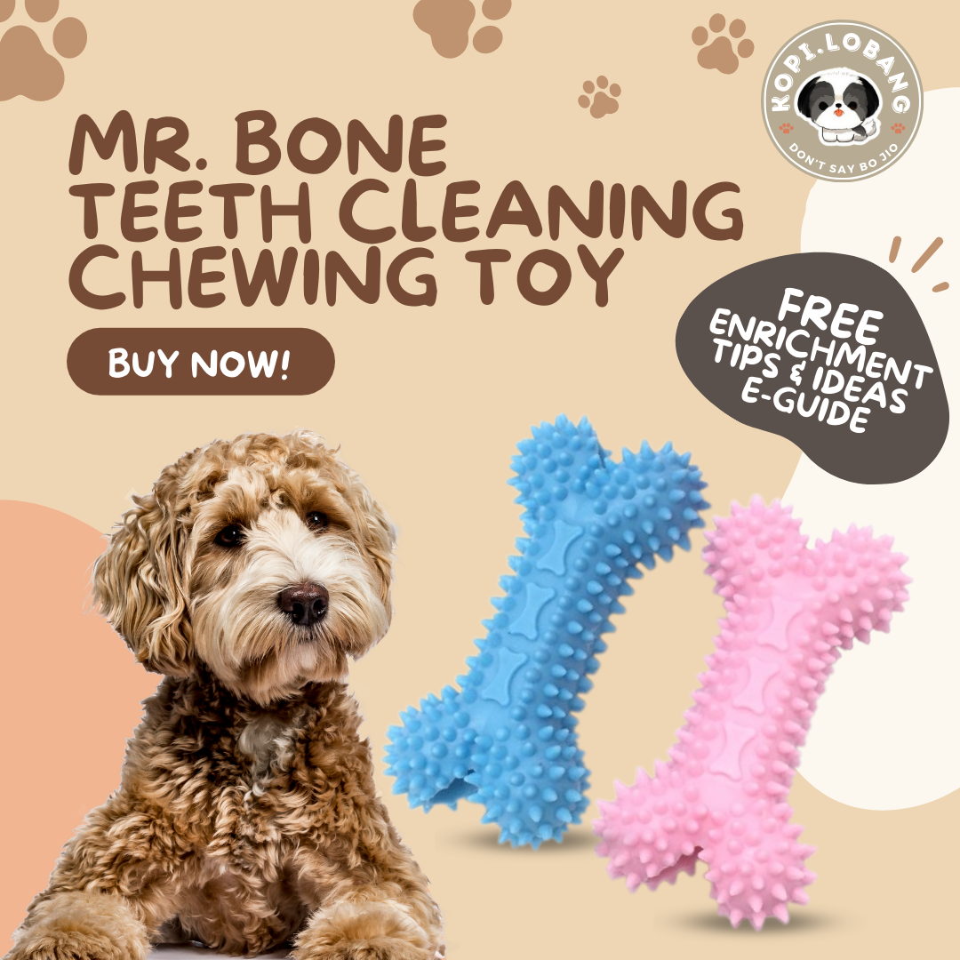 ✅[SG] MR. BONE TEETH CLEANING CHEWING TOY ★ Dental Hygiene Training ★ FREE Enrichment Tips & Ideas e-Guide Worth $7 ★ Enrichment ★ SG Stock ★ Kopi Lobang