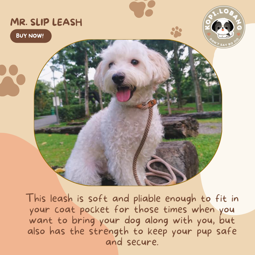 ✅[SG] MR. SLIP LEASH NO-PULL 5 Feet ★ Loose Leash Walking & Training ★ FREE Loose Leash Walking e-Guide Worth $7 ★ SG Stock ★ Kopi Lobang