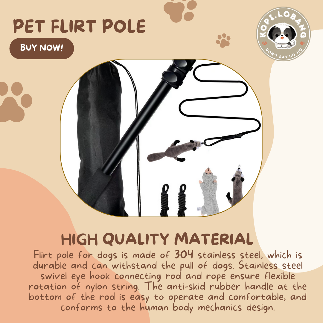 ✅[SG] DOG FLIRT POLE ★ Agility Training ★ FREE Enrichment Toy Tips and Ideas e-Guide Worth $7 ★ SG Stock ★ Perfect for Gift